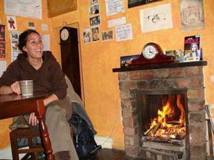 Botanical Backpackers بلفاست المظهر الخارجي الصورة