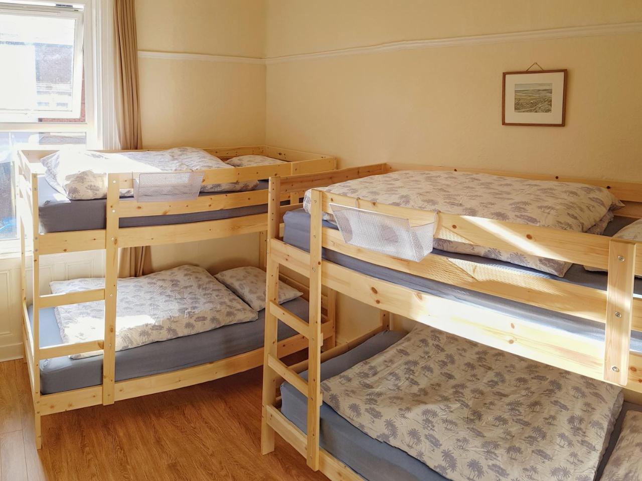 Botanical Backpackers بلفاست المظهر الخارجي الصورة